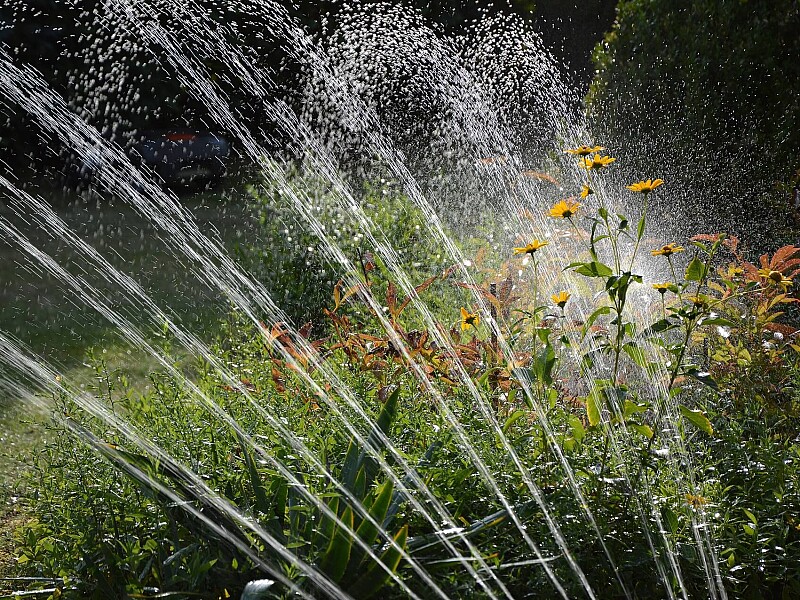 Gartenbewässerung, Bewässerung für den Garten, automatisierte Bewässerung, Bewässerungssystem, Anbieter für die Gartenbewässerung