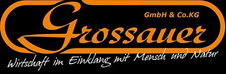 Grossauer GmbH & Co KG