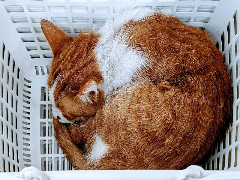 Badezimmerschrank mit Wäschekorb