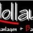 Hollaus Außenanlagen + Bau GmbH