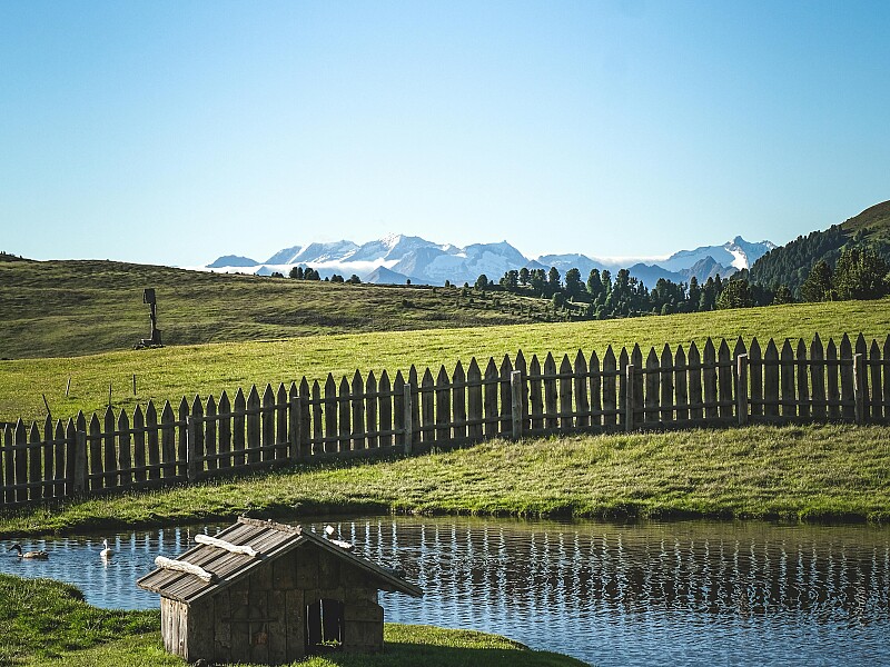 Gartenzaun - aus Holz & modern