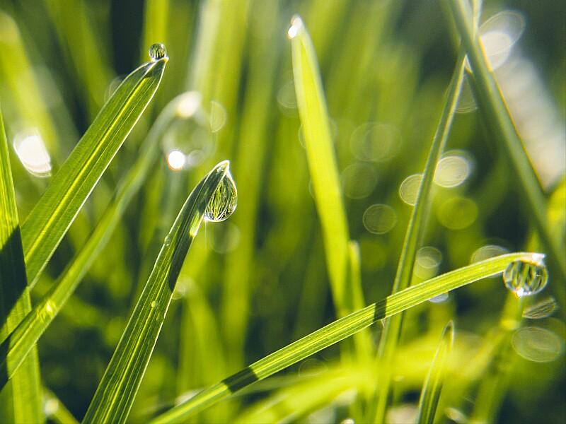 Regenwasserzisterne - Details und Kosten